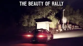 The beauty of Rally | Dirt Rally 2.0