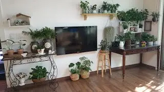 ENG Sub [봉쥬르하우스 철재 선반] 화분정리대 구경하세요~ Rack interior for home gardening