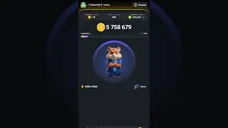 Новое Комбо в Hamster Kombat 🐹