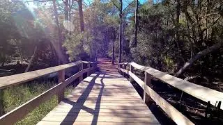 Monte Skelton- My trip to Wormsloe (Forever Wiser MV)