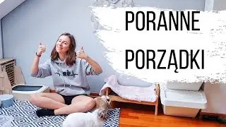 PORANNE PORZĄDKI | VLOG