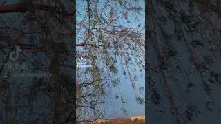 30 апреля 2023 г.