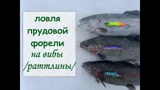 ловля прудовой форели на вибы (раттлины)