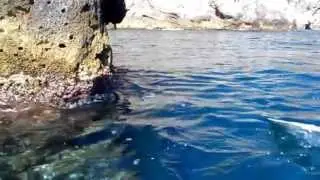 Capo Sant'Alessio - mai visto così prima d'ora