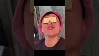«Собака с бабочкой на носу»Откуда мем?