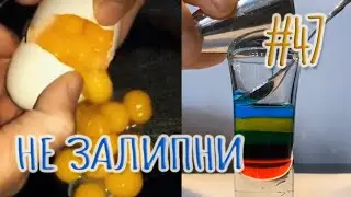 РОЛИКИ ДЛЯ РЕЛАКСА СО ВСЕГО МИРА ► ЗАЛИПАТЕЛЬНЫЕ ВИДЕО ДЛЯ СНА (ИЮЛЬ 2021) #47
