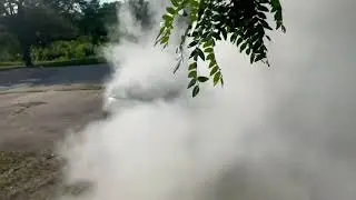 mustang 3.8 v6 burnout