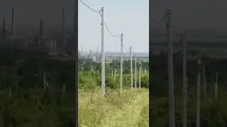 Строят Ильский НПЗ. А я кошу мульчером сад