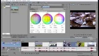 Sony Vegas Corrección de color