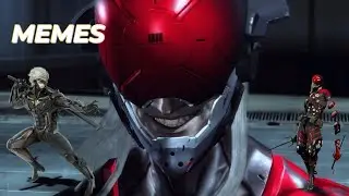 Raiden receives a meme