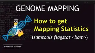Samtools Tutorial | Getting the Mapping Statistics of a BAM or SAM file
