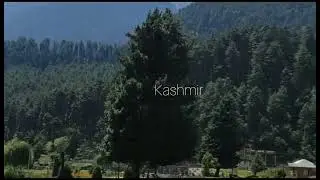 Kashmir ❤️