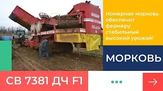 Морковь СВ 7381 ДЧ F1 Seminis