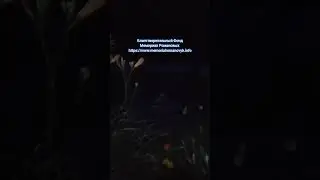 Место обнаружения Останков Членов Царской Семьи Николая II-го на Старой Коптяковской дороге.
