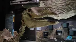 Delinda Tours the Nevada State Museum on American Dream TV