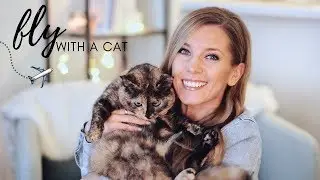 Pet Travel Routine: Flying with a Cat In-Cabin | What to Expect