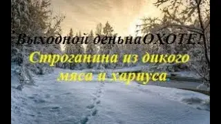 Выходной день на охоте....
