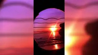Can’t Help Falling in Love inside of a Guitar (FingerStyle Arrangement by Chaos Canine)