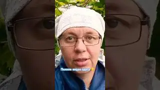 Ветер поднялся #бабушка_блогер #деревенскаяжизнь #деревенскаябабушкаблогер #деревня #летовдеревне