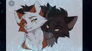 ❗❗МОЁ МНЕНИЕ❗❗[Фандомный чек]°Warriors cats/Коты-Воители°