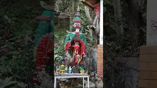 Храм Чанг Дао. Видео из архива.