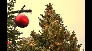 Der Weihnachtsbaum