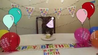 Date of Birth