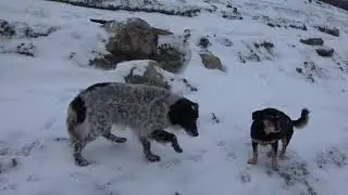 Водохранилище ледостав.