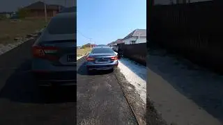 отдали 