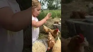 Командирша