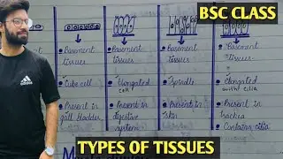 Tissue And It's Types | Structure Of Tissues | Class Bsc Zoology