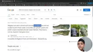 Software Engineer Explains Difference Between Alligator and Crocodile