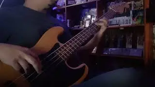 Los Bunkers - Nada Nuevo Bajo el Sol [Cover Bajo - Bass Cover]