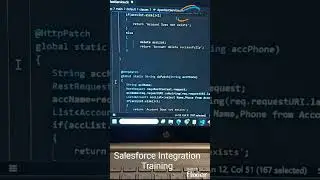 Salesforce Integration (Apex Webservice Training)  