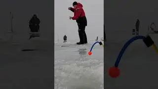 Ловля корюшки! Подпишись, рыбак! #smelt #fishing
