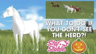 Friday Ghost 👻 What to do if you don't see the herd? South Hoof. Pony. Halloween Quest - Star Stable