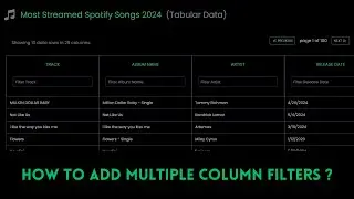 Implement Column Filters  | Pagination | Parse .CSV file Kaggle Data  | Next JS 14 Tutorial