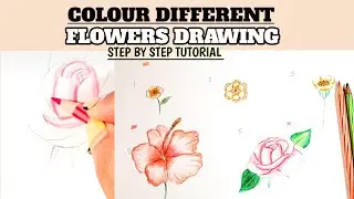 How to Colour Flowers with Pencils || How to colour Flowers 🌹 || Use Watercolor Pencils