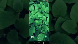 Plants App - Demo | Figma to Flutter | Flutter | Flutter UI Desgining