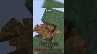 Skyblock, But with Realistic Physics