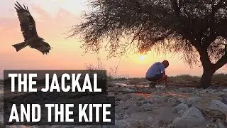 Tom is tracking animals in Israël (1 of 4)