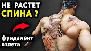 4 самых главных упражнения для спины