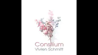 Consilium - Vivien Schmitt