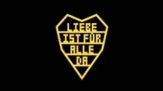 Rammstein - Ich tu dir weh (Cover)