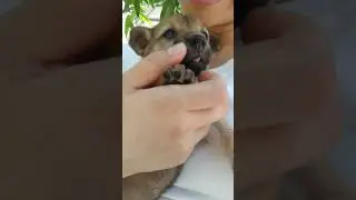 Good morning 🐶