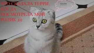 ЖИЗНЬ ТЕРРИ №7 /ЧТО СКАЗАЛА ТЕРРИ...