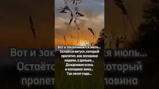 31 июля 2024 г.
