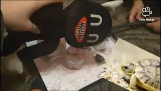 Ледниковый период