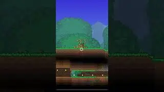 Hay, that’s cool