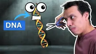 How gene editing is changing the world